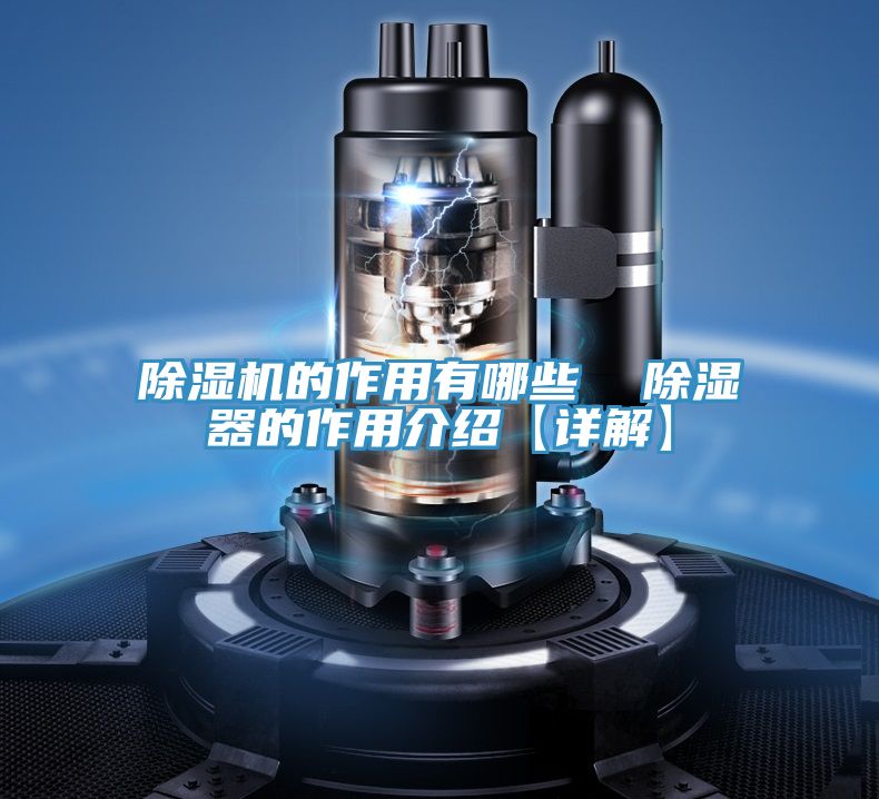 抖音成人版下载的作用有哪些  除湿器的作用介绍【详解】