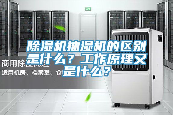 抖音成人版下载抽湿机的区别是什么？工作原理又是什么？