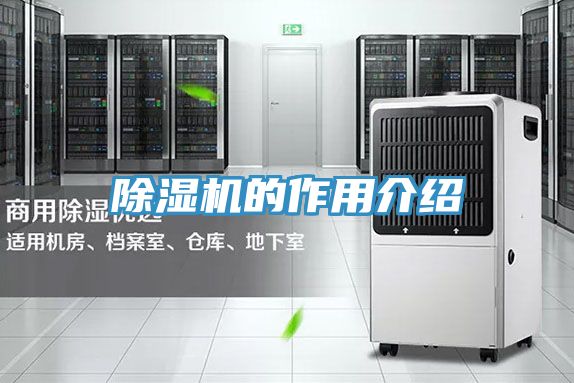 抖音成人版下载的作用介绍