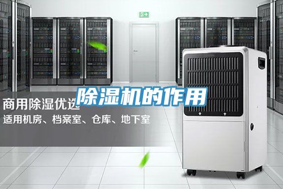 抖音成人版下载的作用