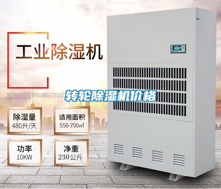 转轮抖音成人版下载价格