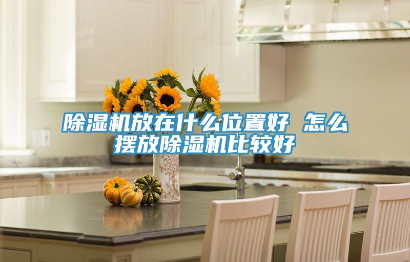 抖音成人版下载放在什么位置好 怎么摆放抖音成人版下载比较好