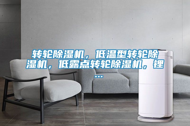 转轮抖音成人版下载，低温型转轮抖音成人版下载，低露点转轮抖音成人版下载，锂 ...