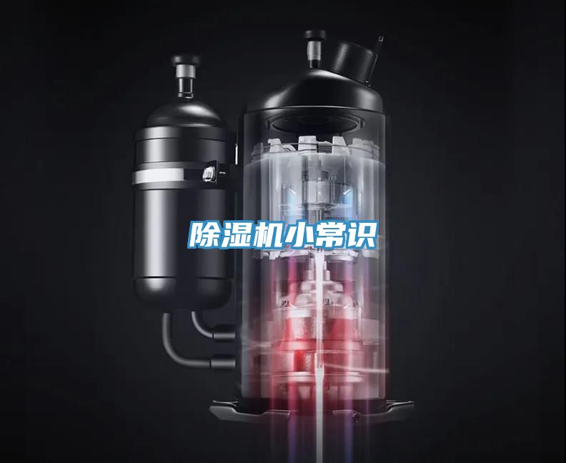 抖音成人版下载小常识