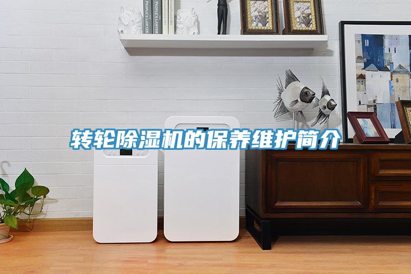 转轮抖音成人版下载的保养维护简介