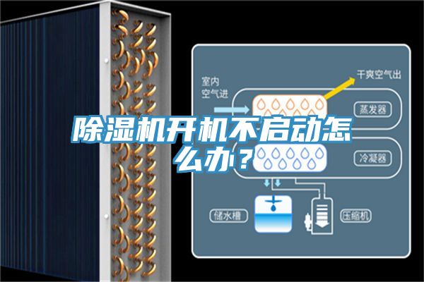 抖音成人版下载开机不启动怎么办？