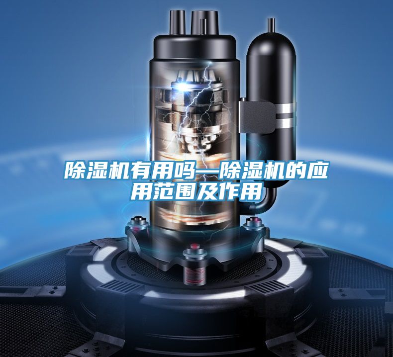 抖音成人版下载有用吗—抖音成人版下载的应用范围及作用